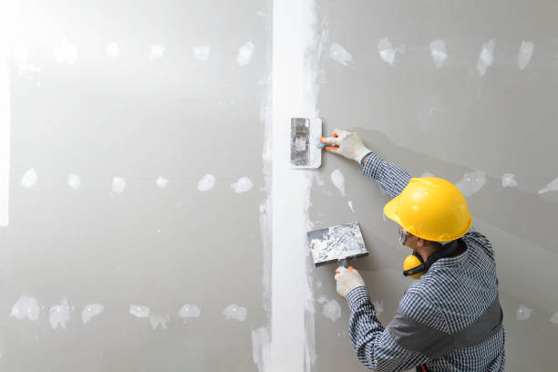 Best Mold Removal for HVAC Installations  in Gumlog, GA