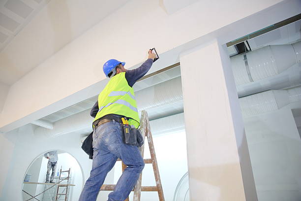 Environmental Consulting for Mold Prevention in Gumlog, GA